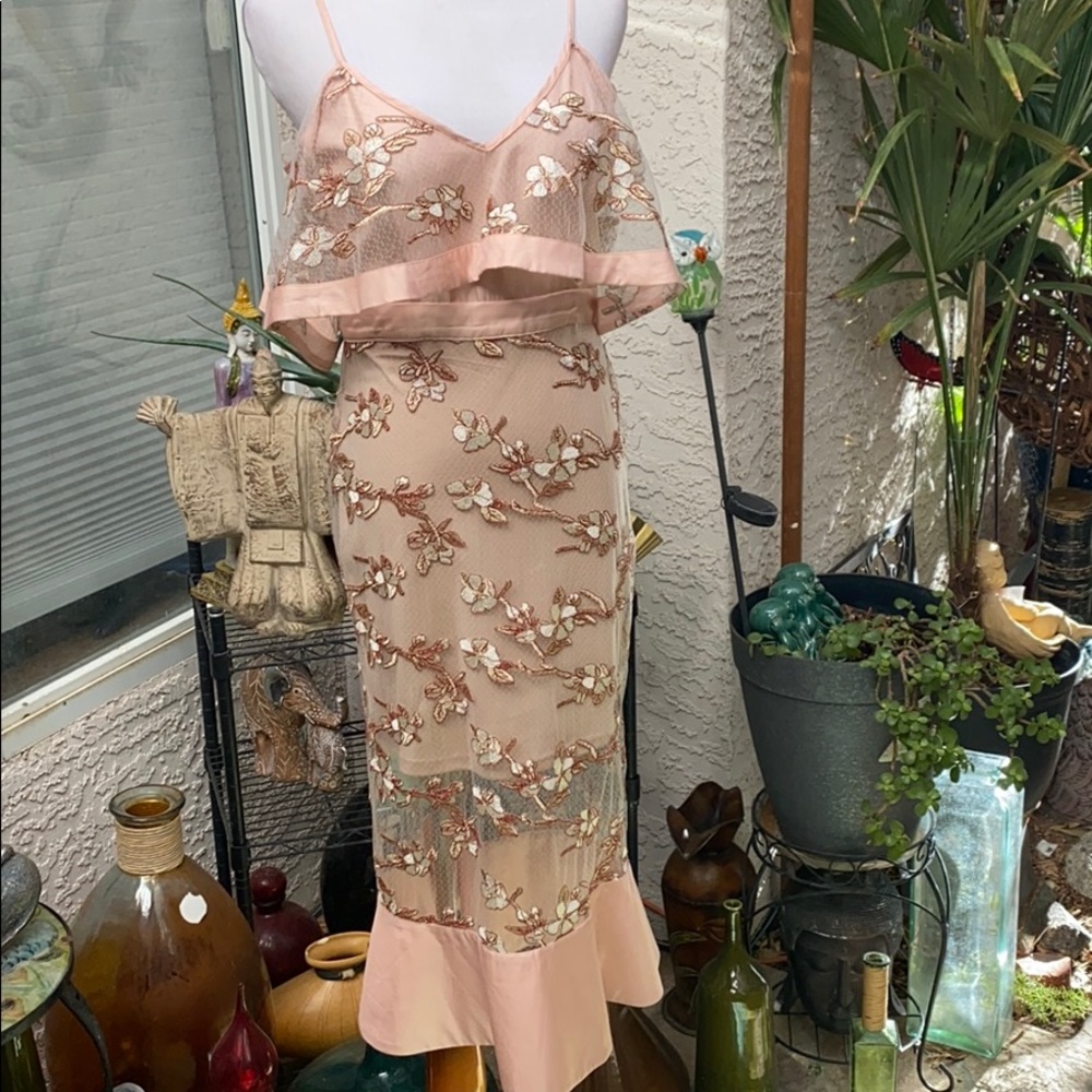 green emerald velvet dress Blush Sheer Flower-embroidered & Hand-Beaded Zero-Waste Dress - Xs/S main image 1